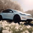 Tesla Model Y blanche et fleurs