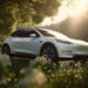 Tesla Model Y blanche dans la forêt