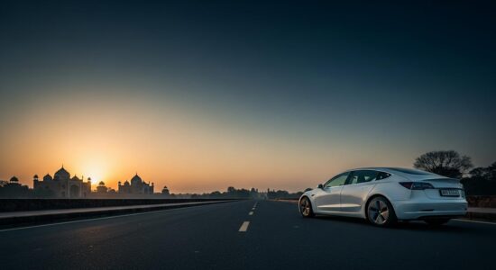 Pourquoi Tesla abandonne l'Inde après 5 ans d'échec ?