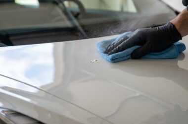 Comment enlever les fientes d'oiseaux sans abîmer la peinture de votre Tesla ?